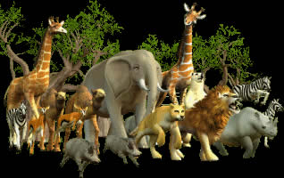 Zoo Tycoon Animals List